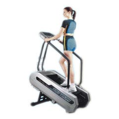 Digital Exercise Stepper Manufacturer Supplier Wholesale Exporter Importer Buyer Trader Retailer in Mumbai Maharashtra India